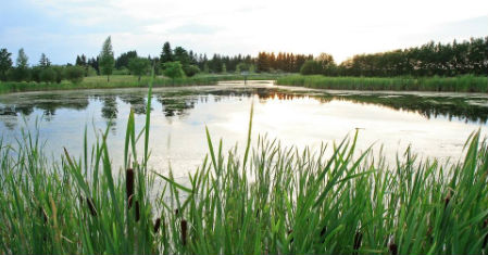 Lloydminster Golf and Curling Centre